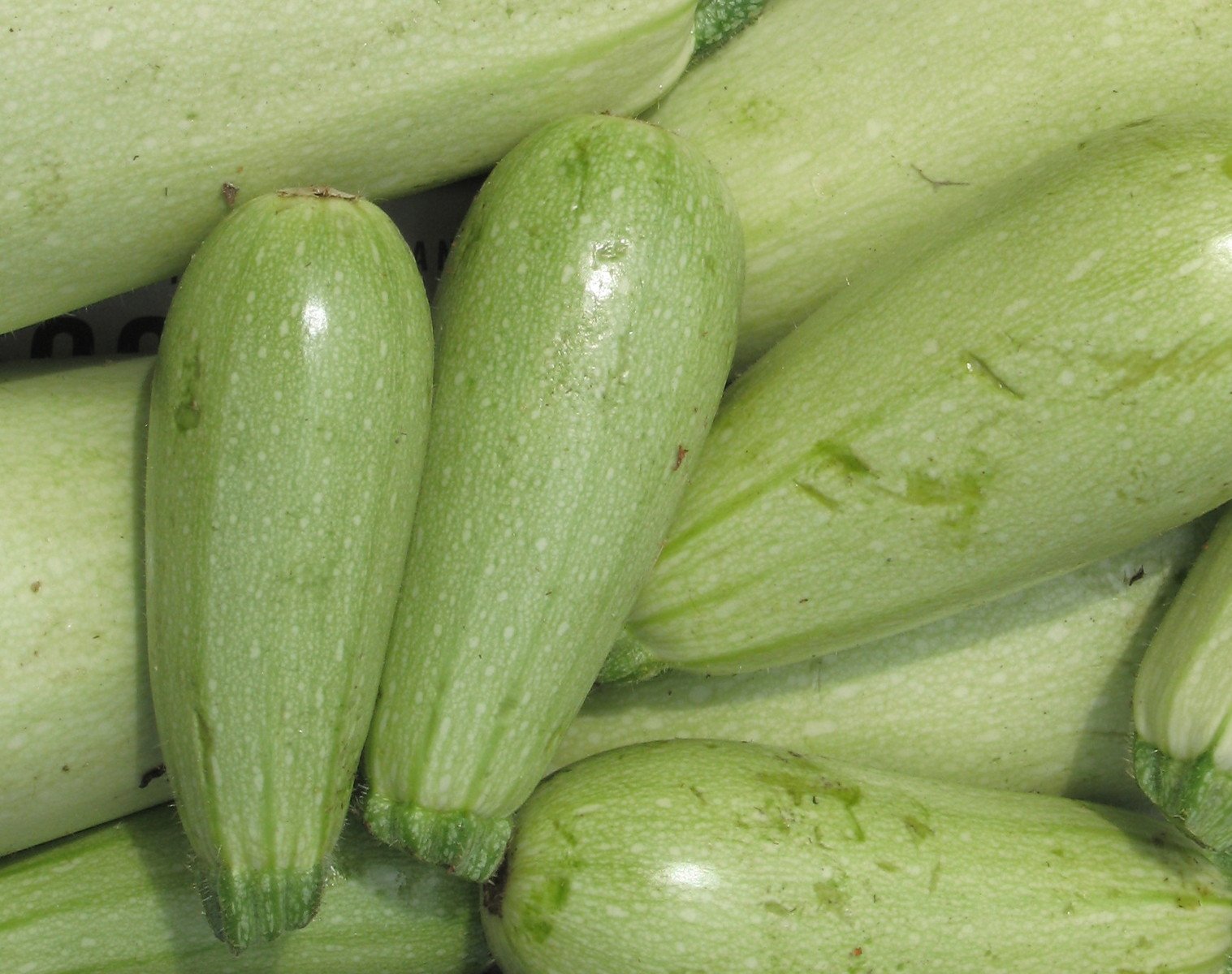 a close up of green vegetables as seen from the air