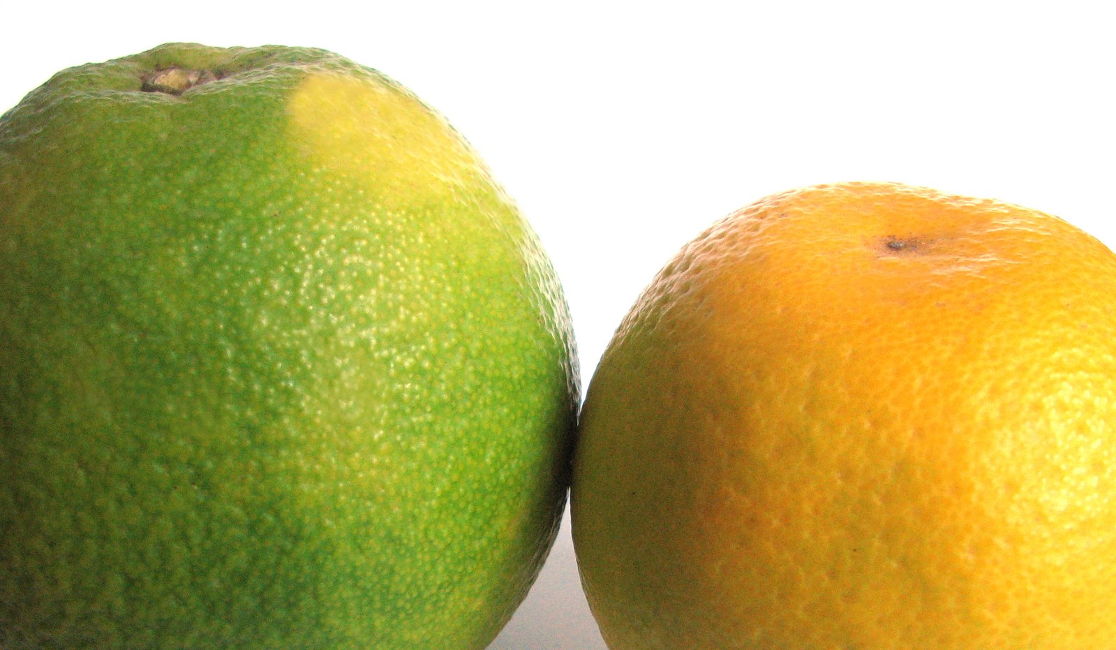there are two different kinds of oranges