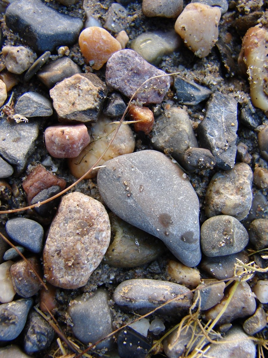 a close up image of rocks and grass