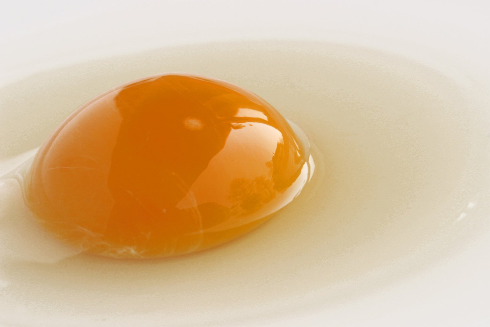 an orange egg with a white background