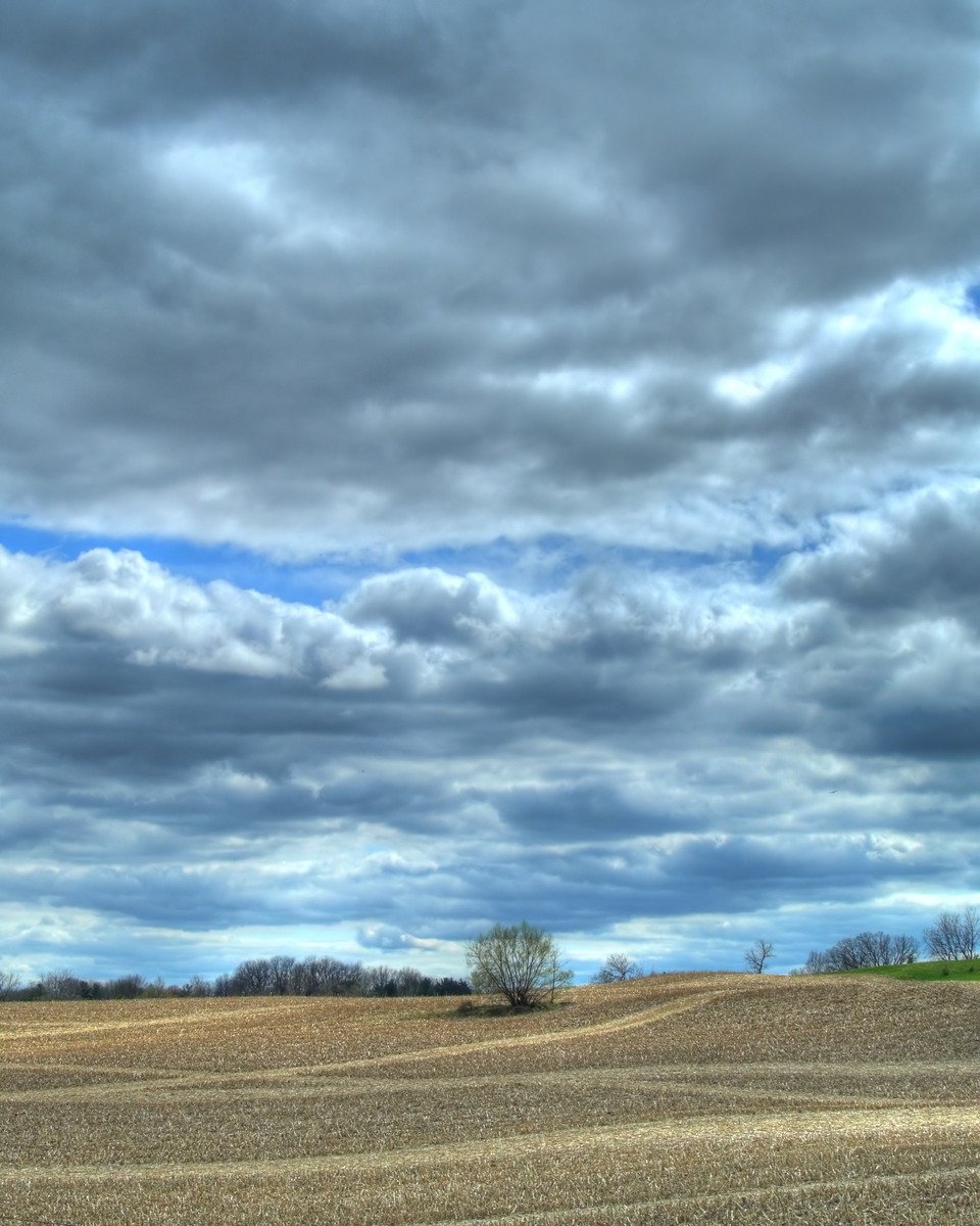 the sky is very cloudy and the animals are out in the field