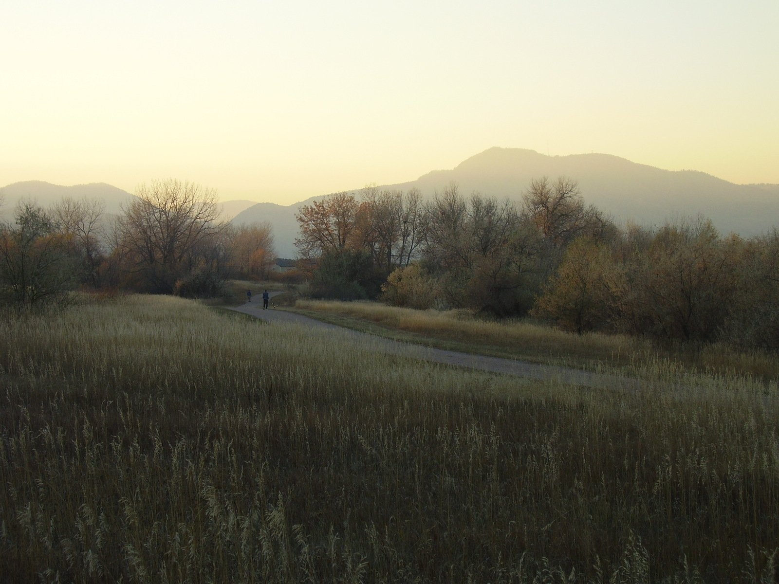 a motorcycle rider riding through a field of grass