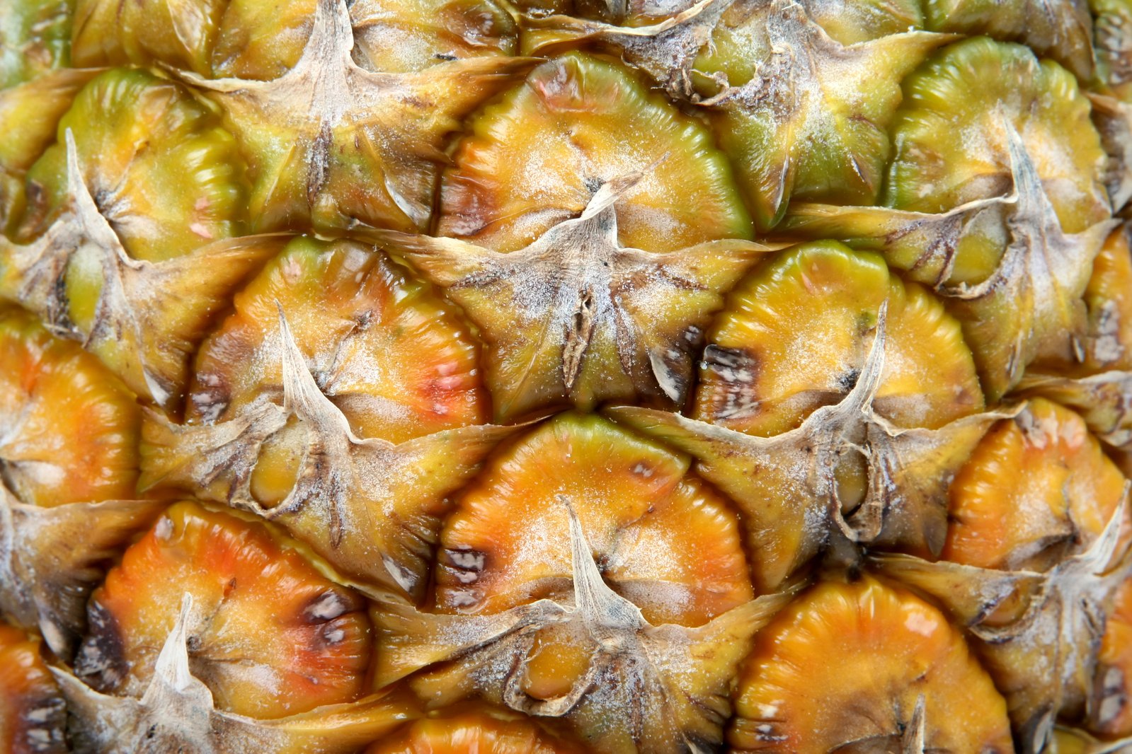 closeup view of an edible fruit with orange peels