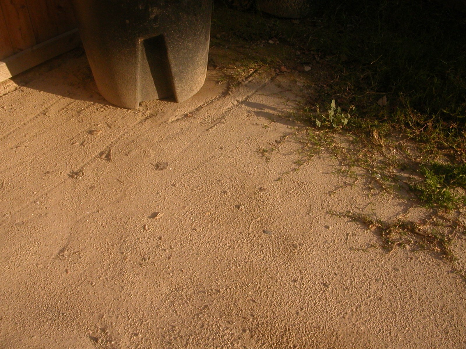 a black dog standing next to a cement box