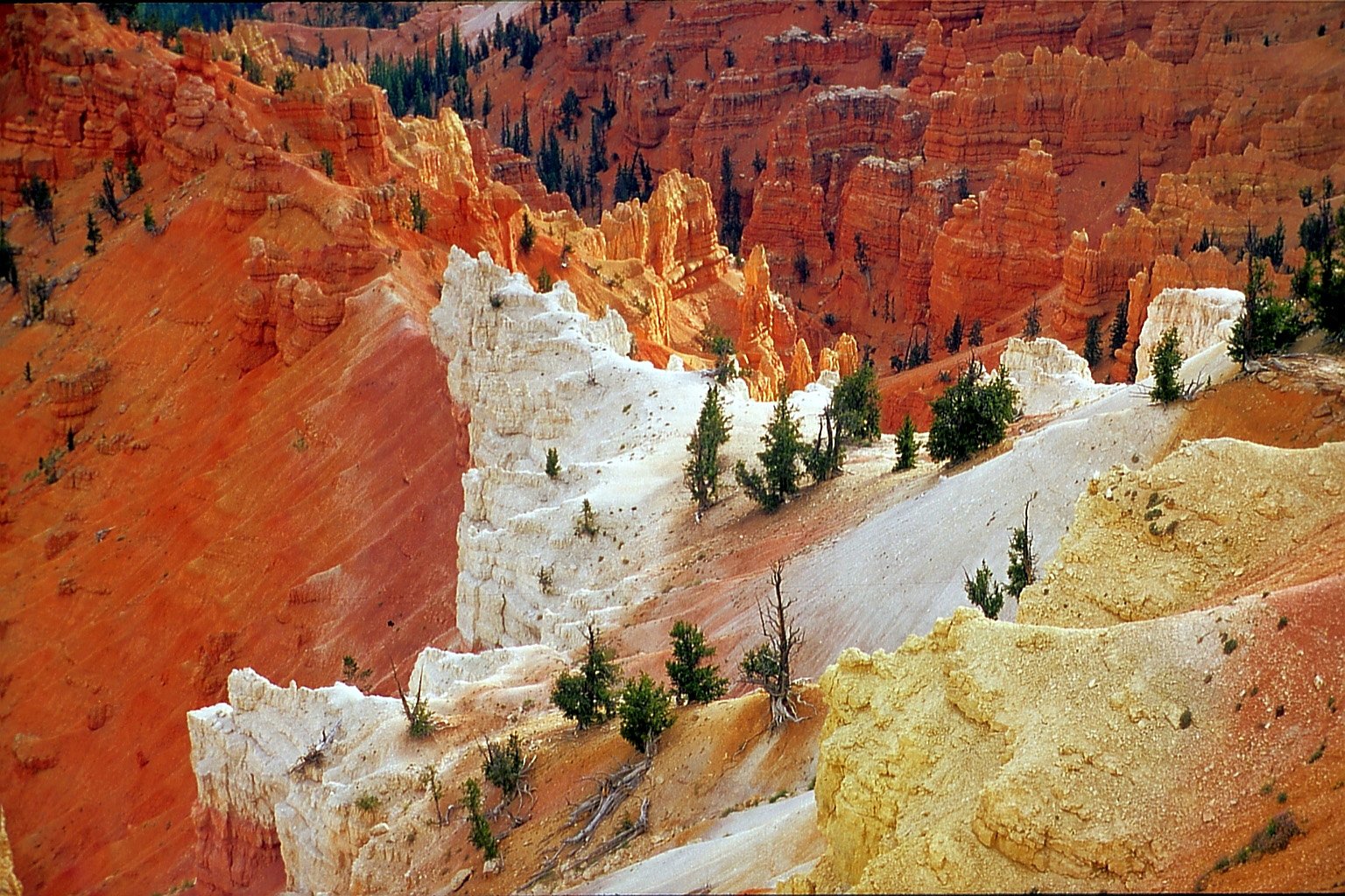 the colors of the canyon are amazing