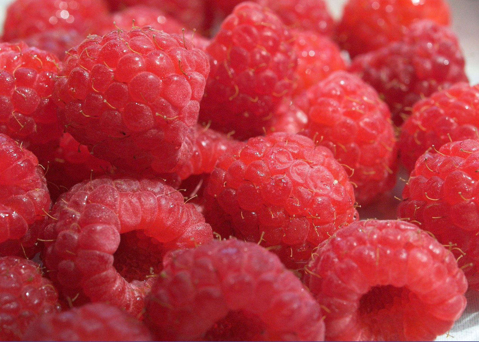 fresh raspberries are sitting on the table