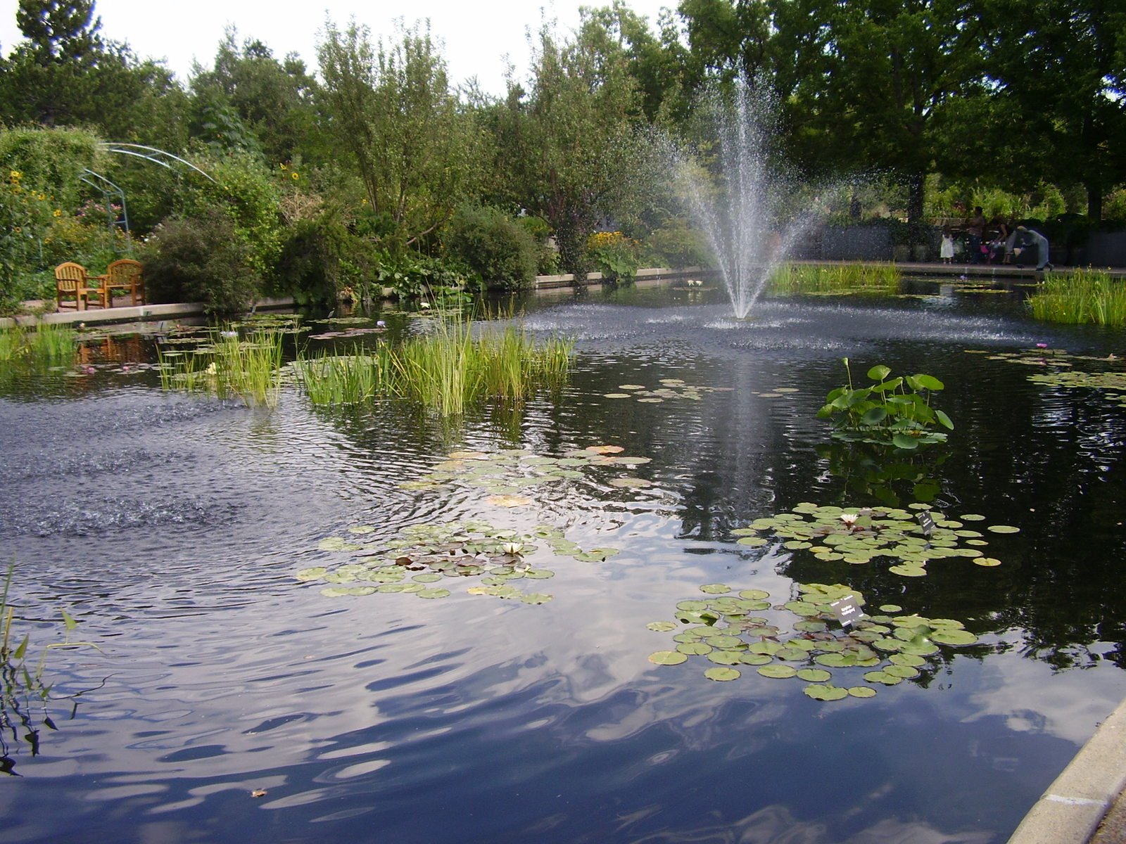 a pond that has water with small white jets shooting out of it