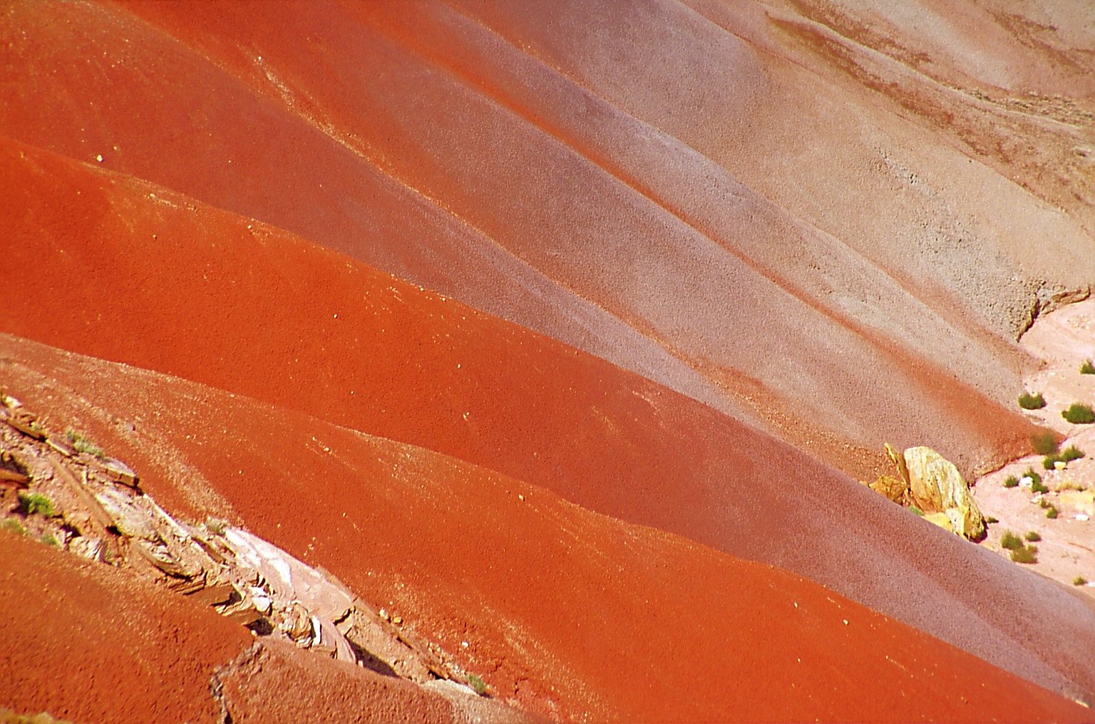 some brown and red colored rocks and plants