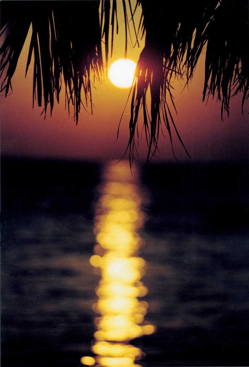 the sun is setting on the water and some trees in front