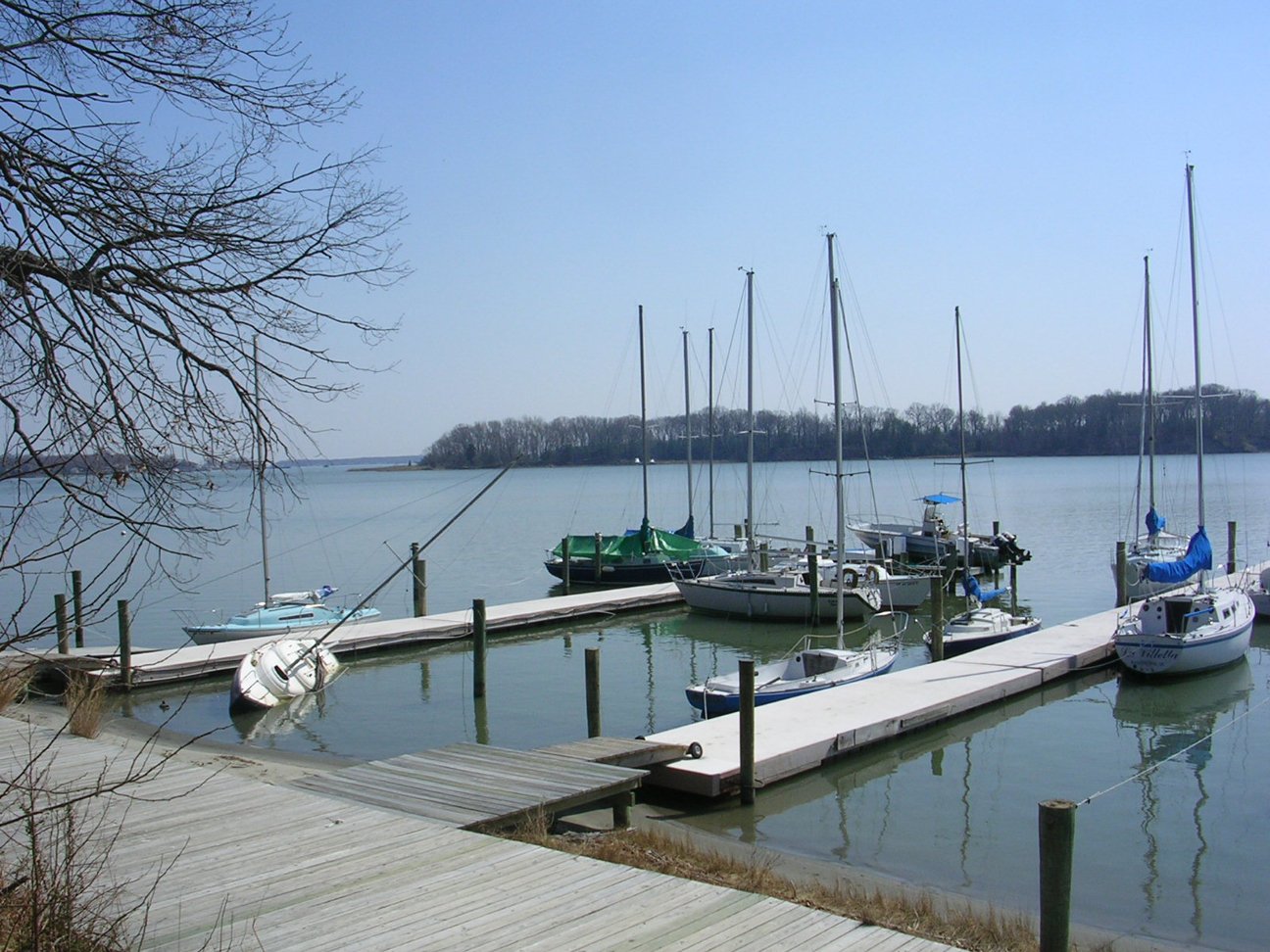 some boats in a bay by the shore