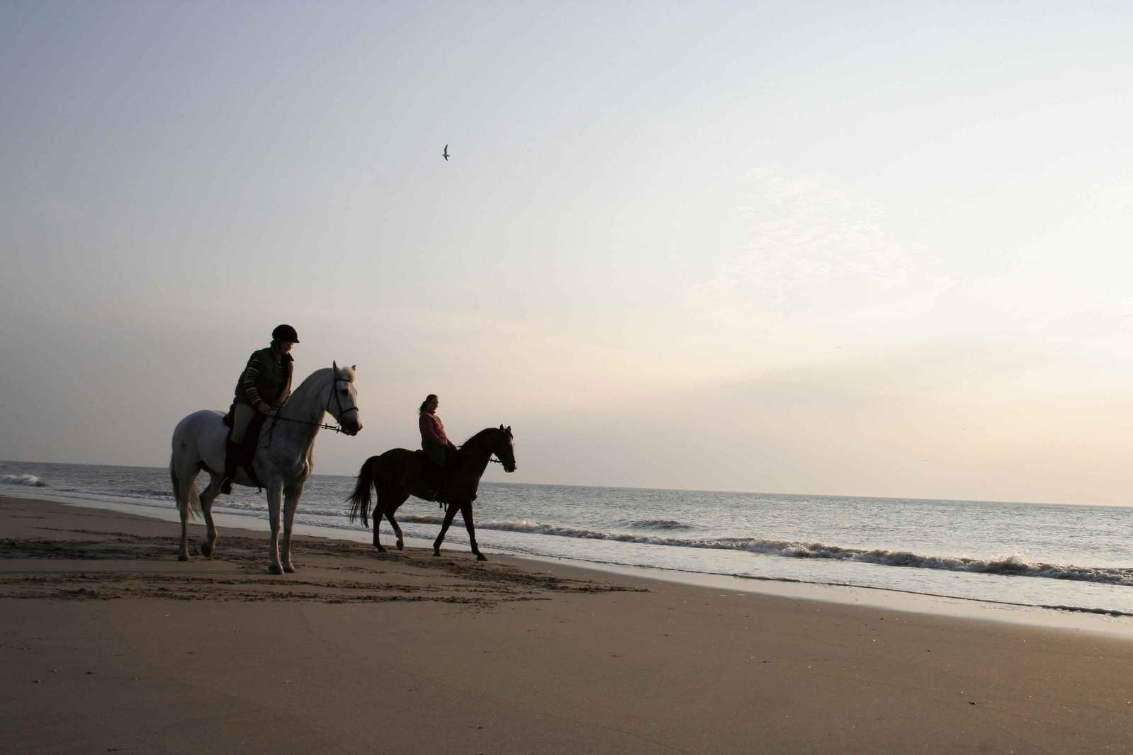 two people ride horses on the beach while another person walks down the beach behind them