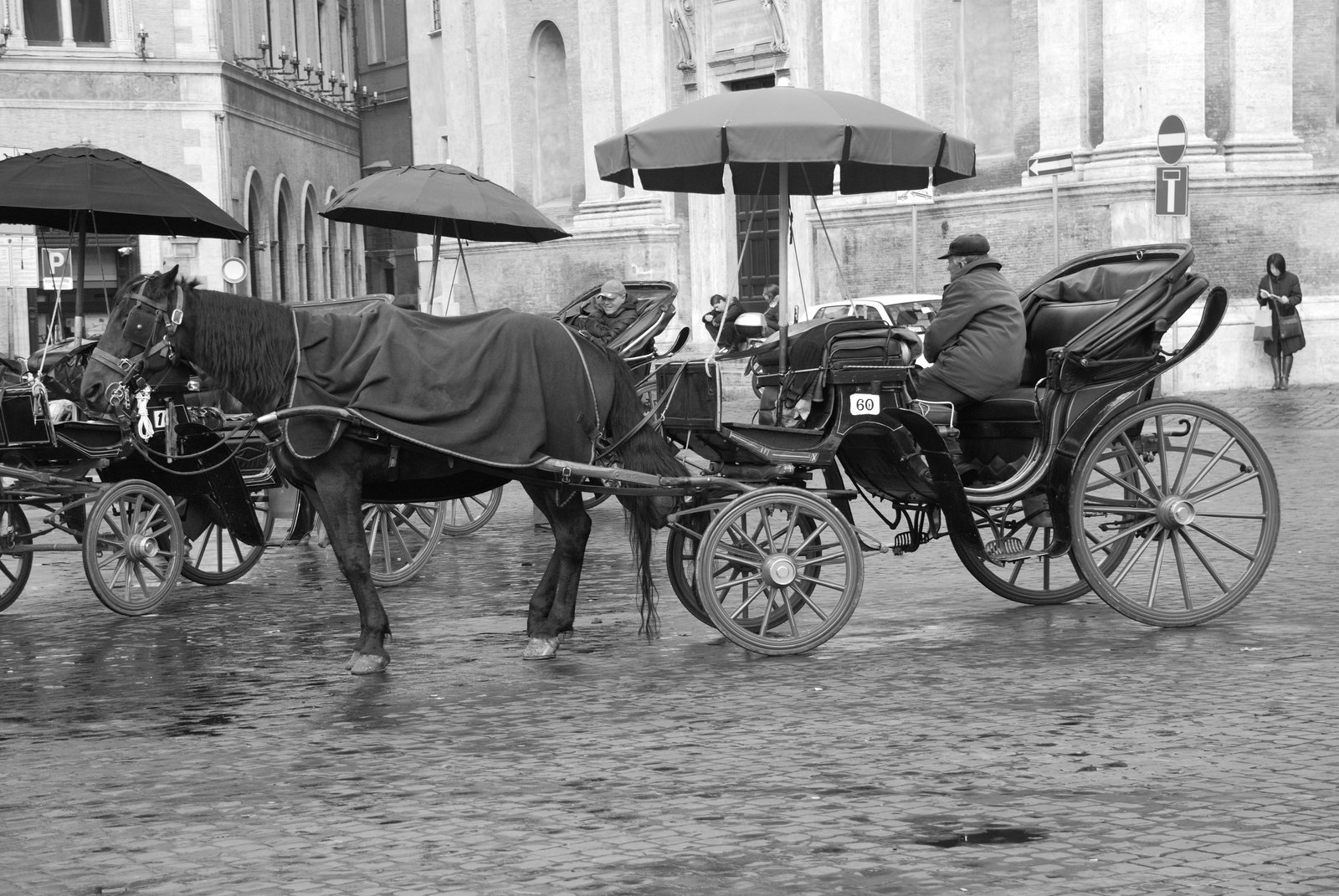 people riding horses in carriages while rain coats them