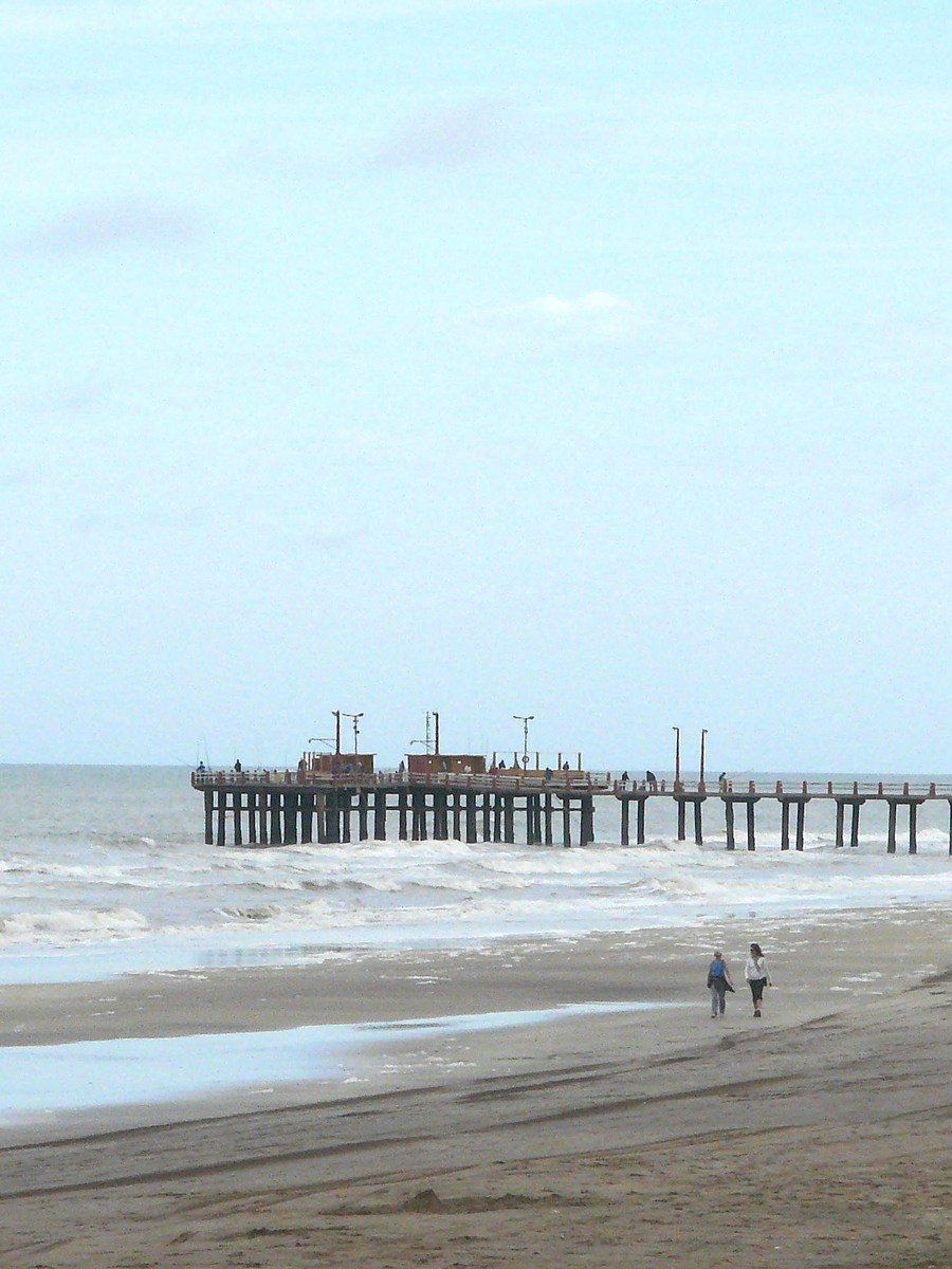 some people on the beach are flying kites