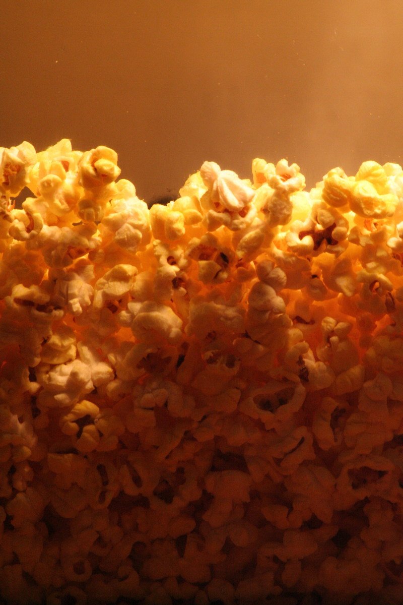 a fish tank with popcorn in it