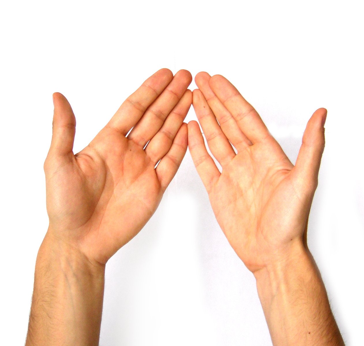 hands reaching up to reach for soing on the table