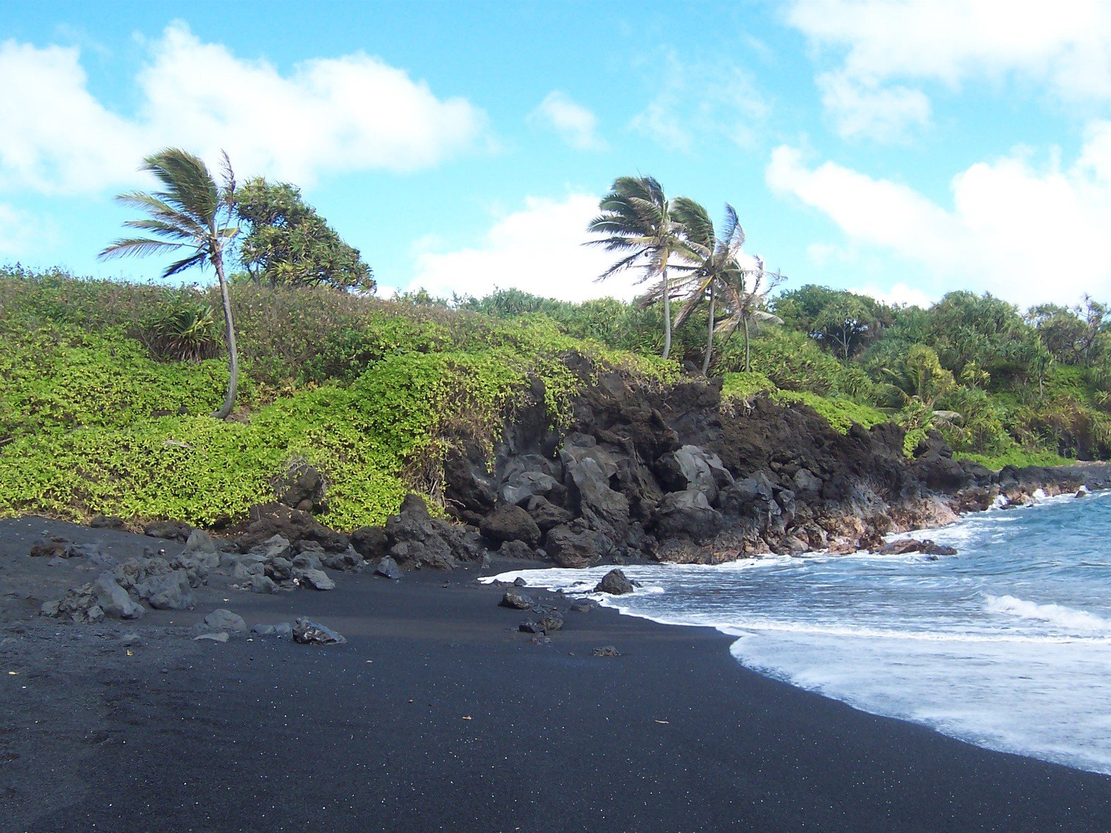 black sand beach with large waves and palm trees