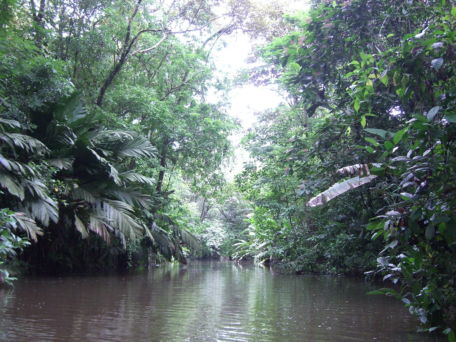 a boat traveling through an area full of water