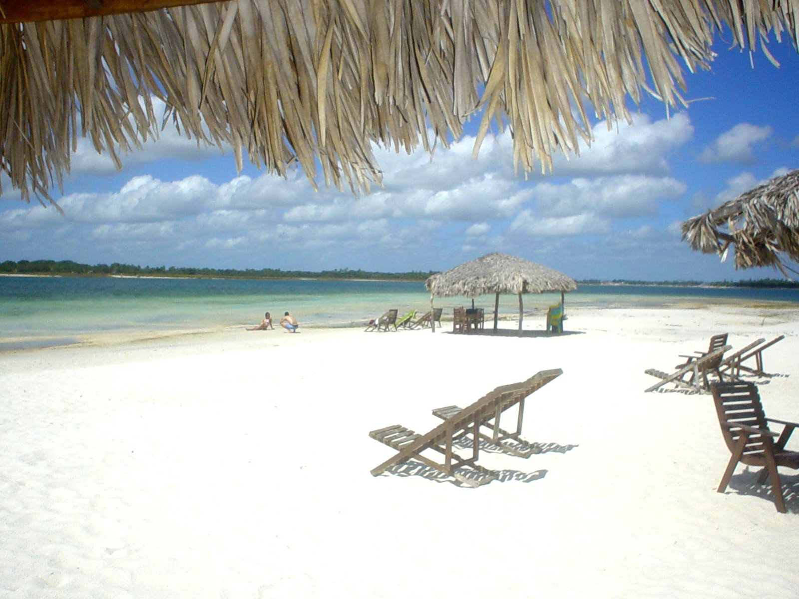 a sandy beach next to a row of thatched umbrellas