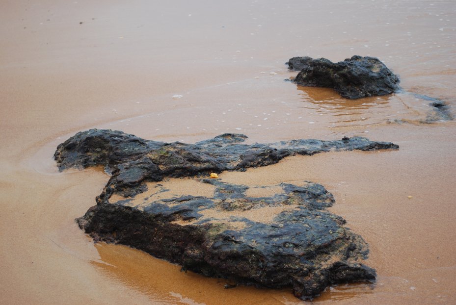 a group of rocks laying on top of a sandy beach