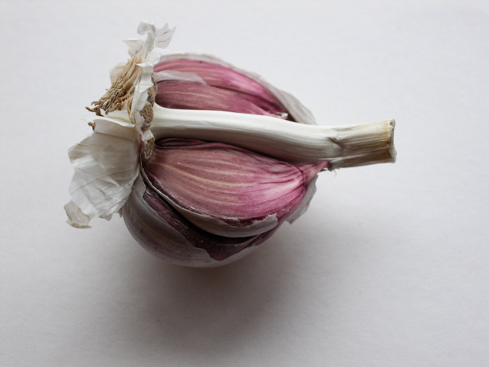 closeup of onion that are cut into pieces