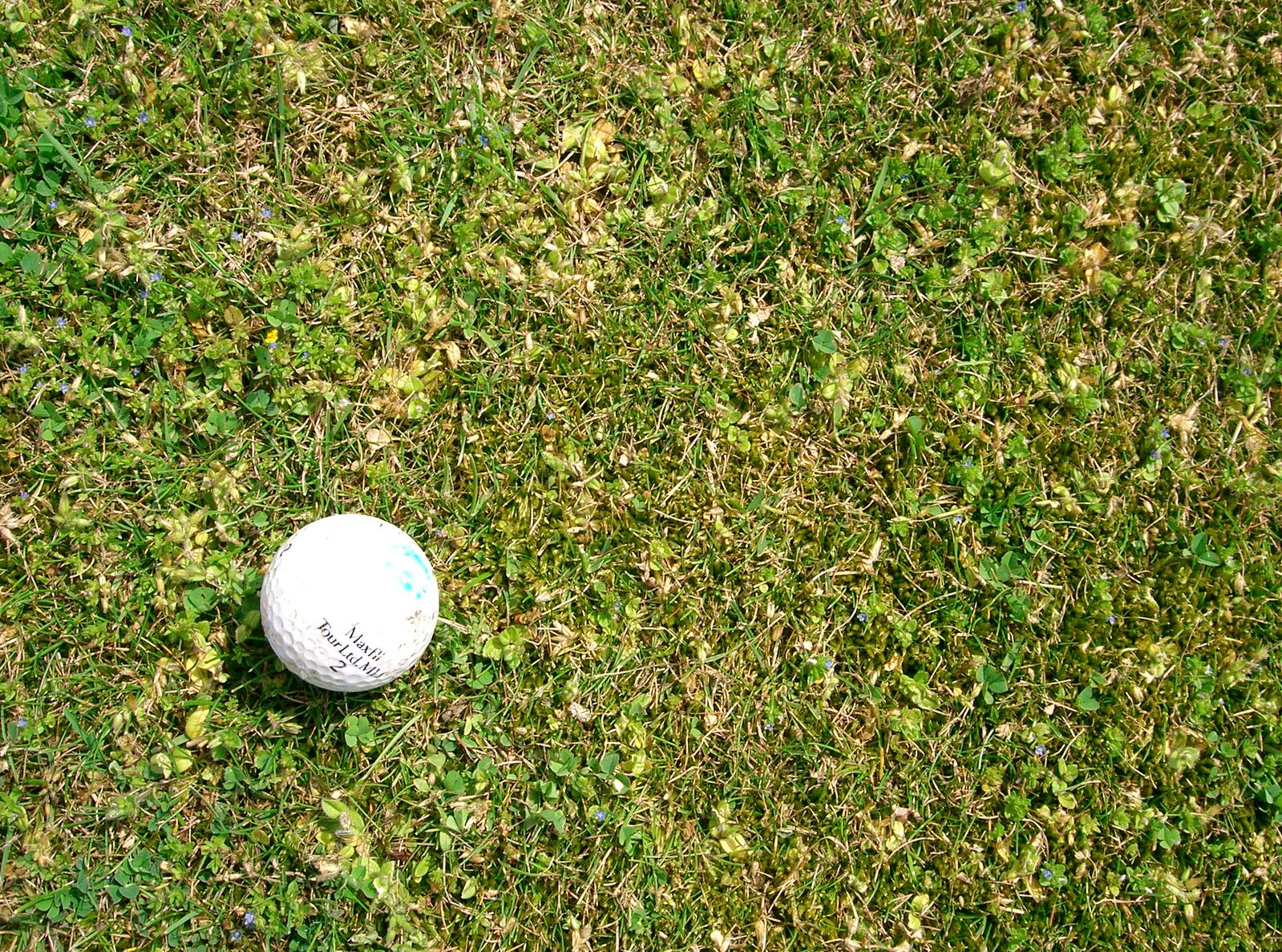 an overhead s of a white ball on the grass