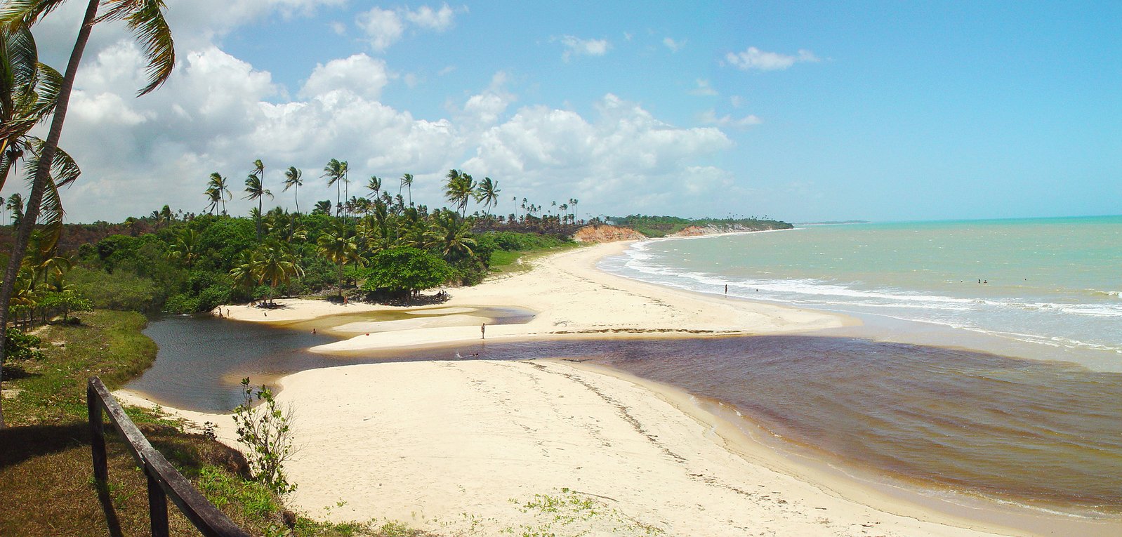 a sandy beach next to the ocean with trees and ocean water