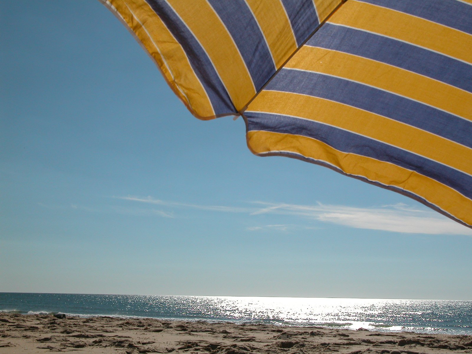 an umbrella is sitting on the beach and near the ocean