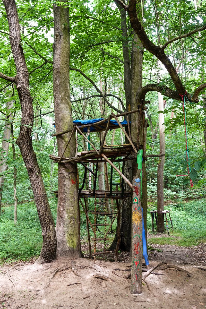 a swing in the woods that has been constructed