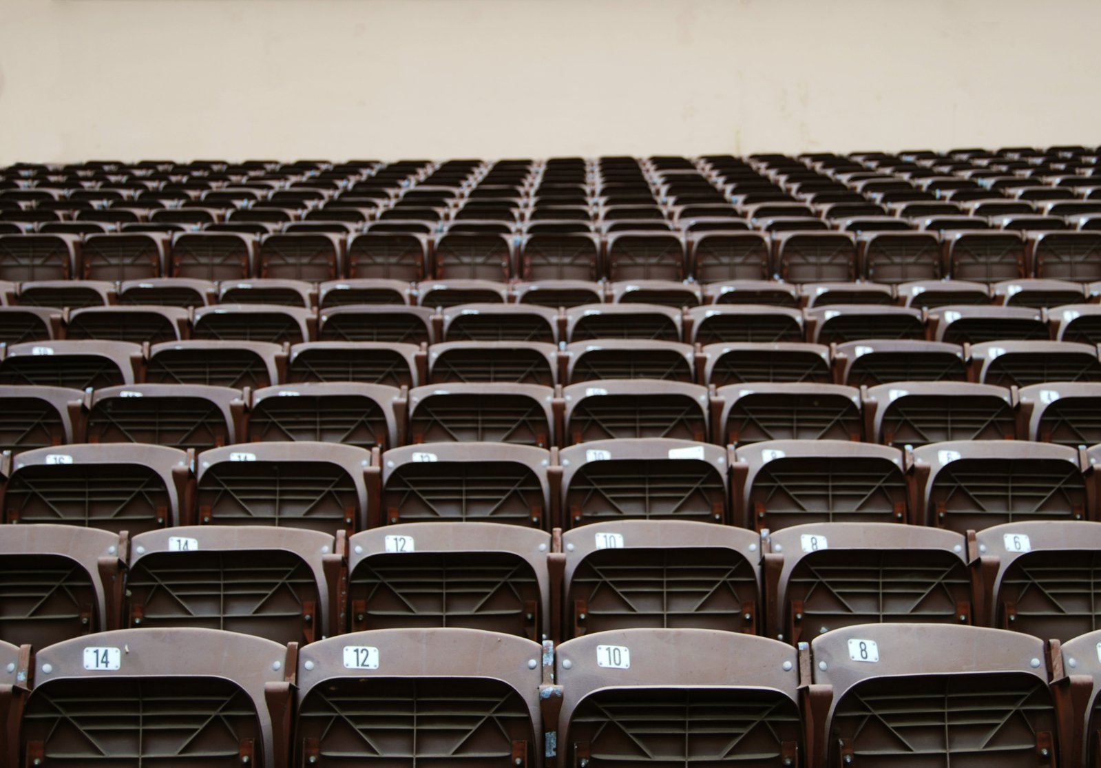 rows of brown seats are lined up on the floor