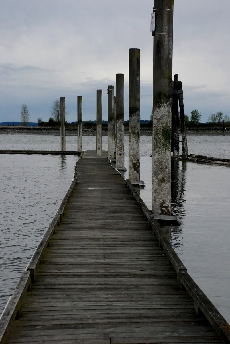 an old dock sits next to the water