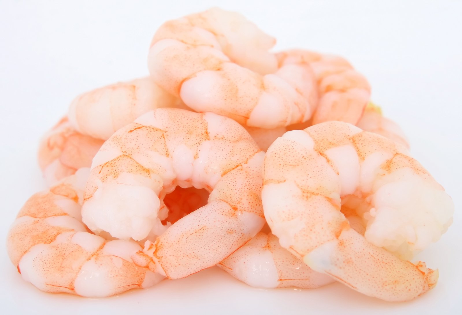 a pile of shrimp is standing upright on the ground