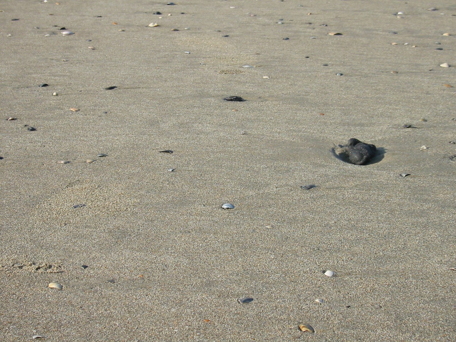 a sand beach with small rocks and pebbles scattered around it