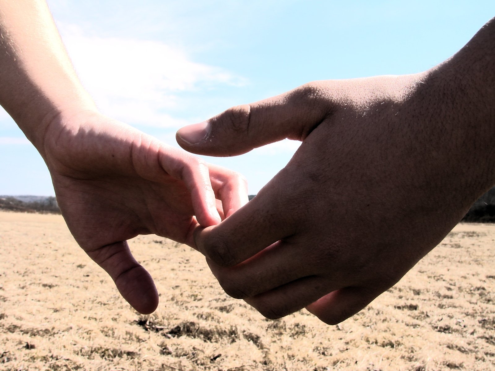 two hands touching each other in the middle of a field
