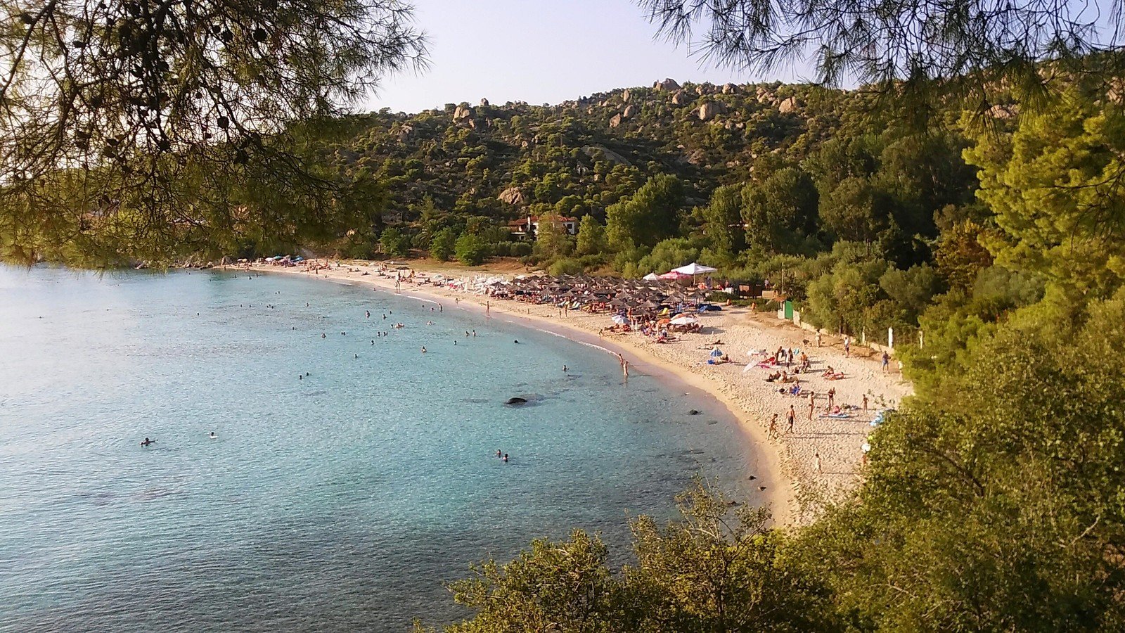 the beach has several trees on the sides