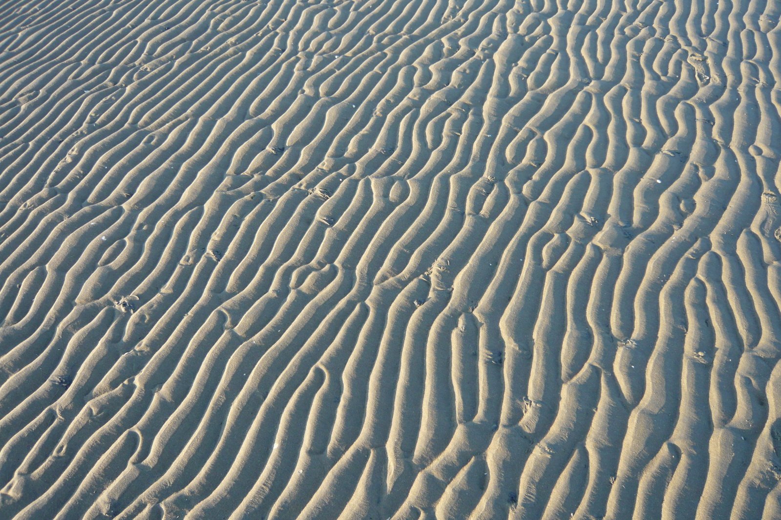 the white sand is very rippled in this picture