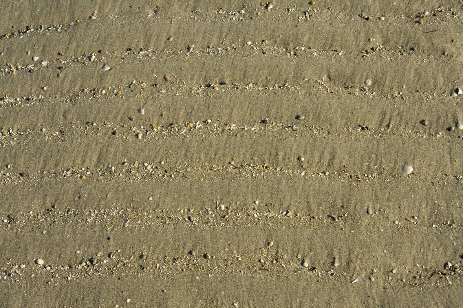 shells, pebbles and sand on the beach