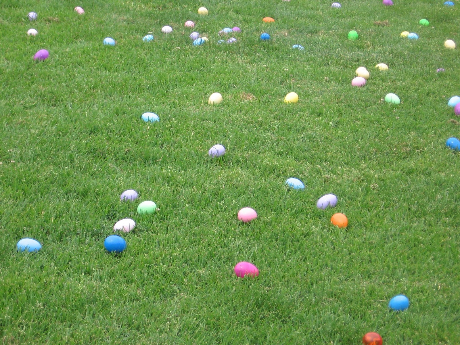 a park is decorated with lots of colored easter eggs