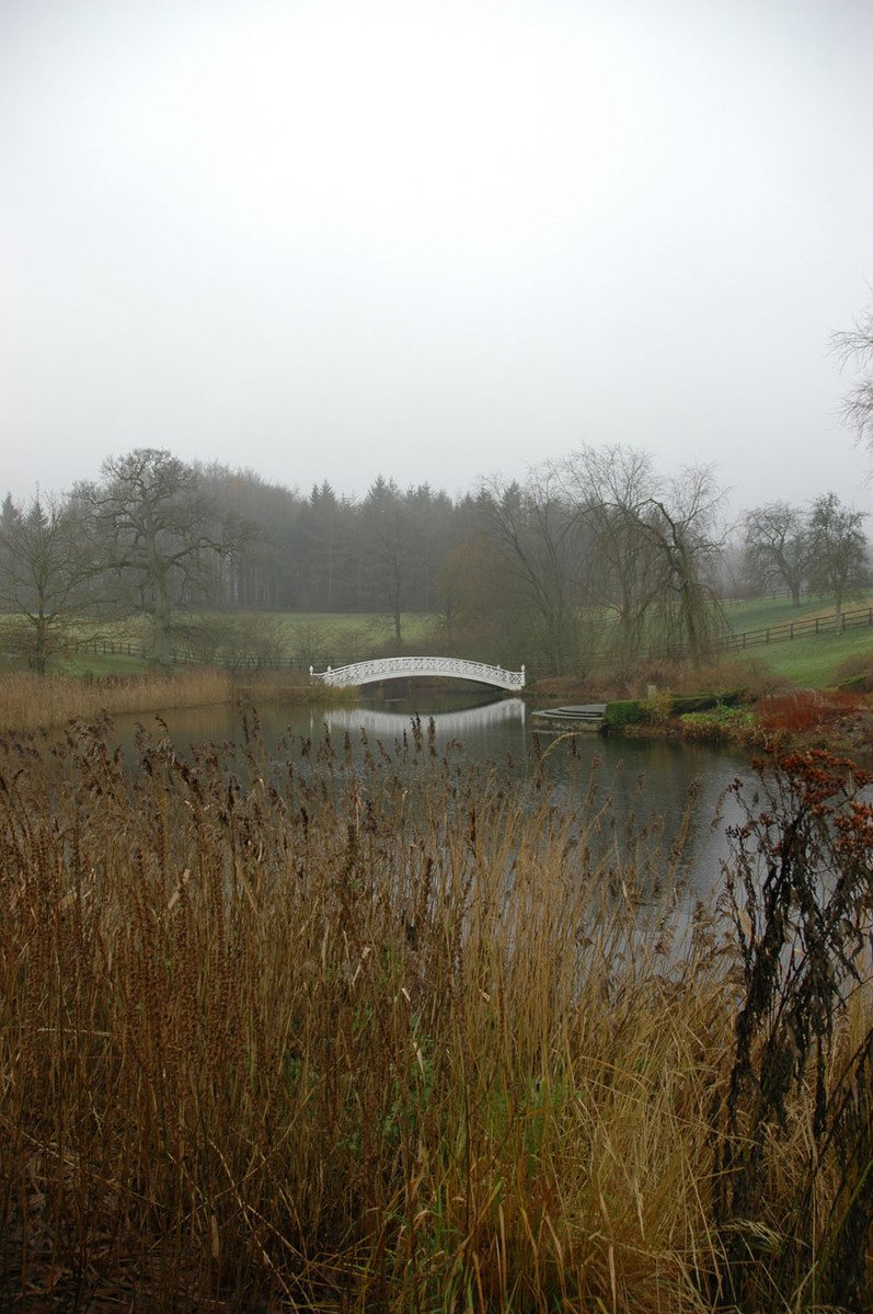 an image of the lake by the bridge