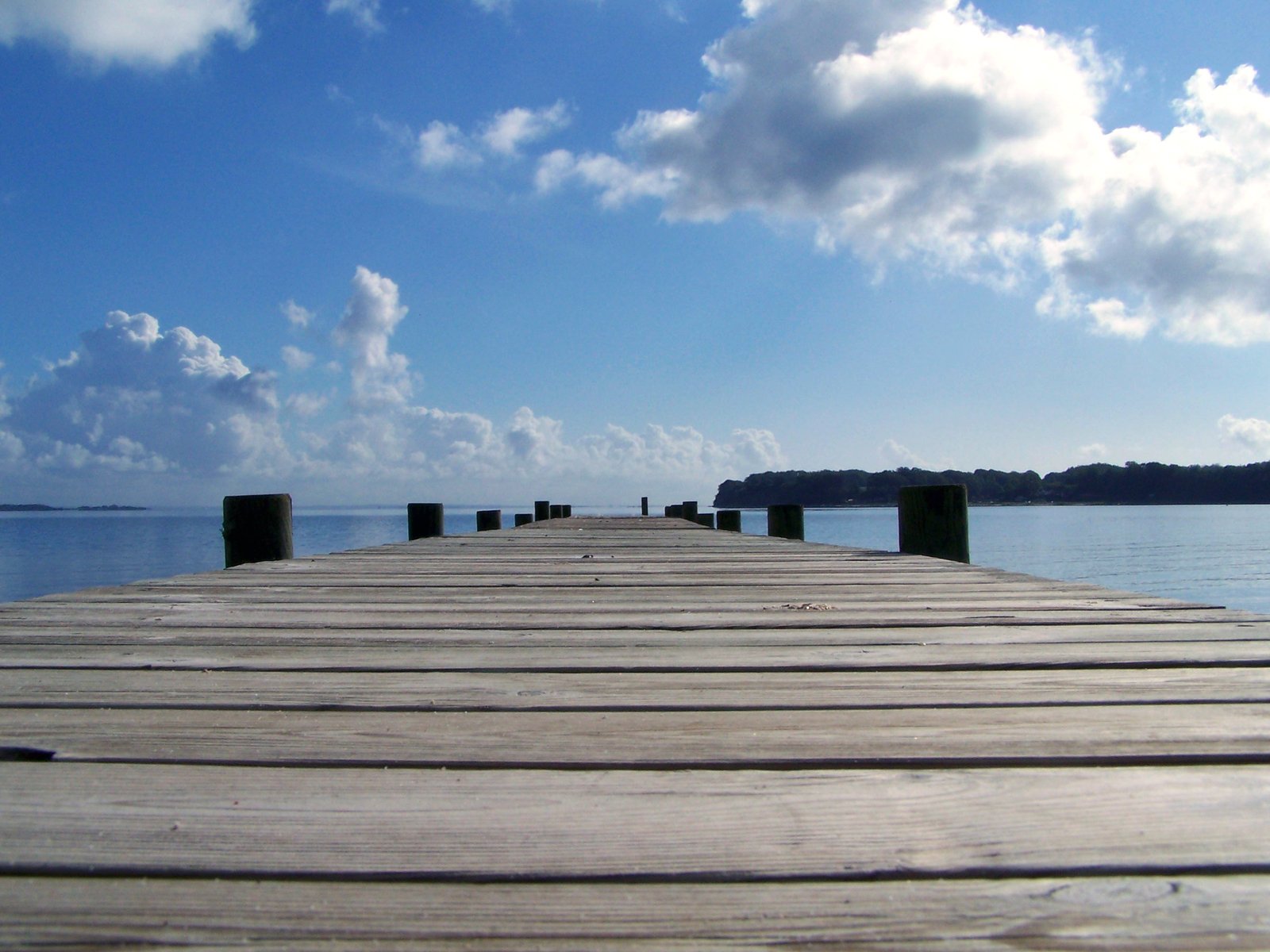 the top of a dock near some water