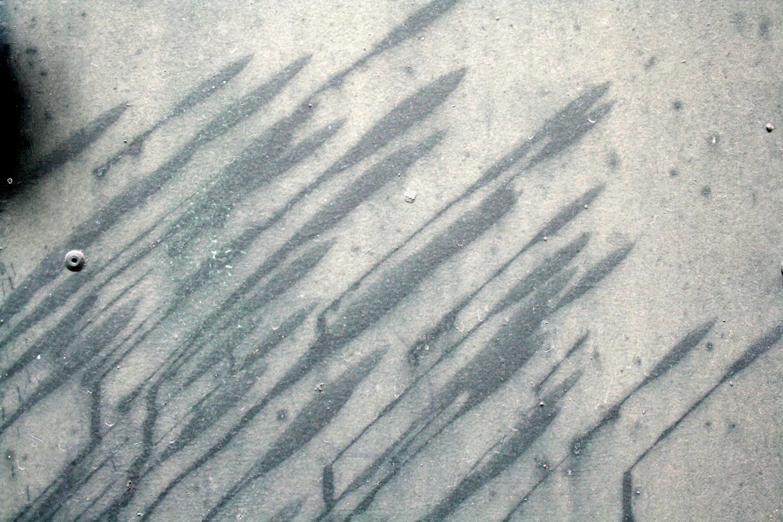 long thin shadows cast on the ground in winter