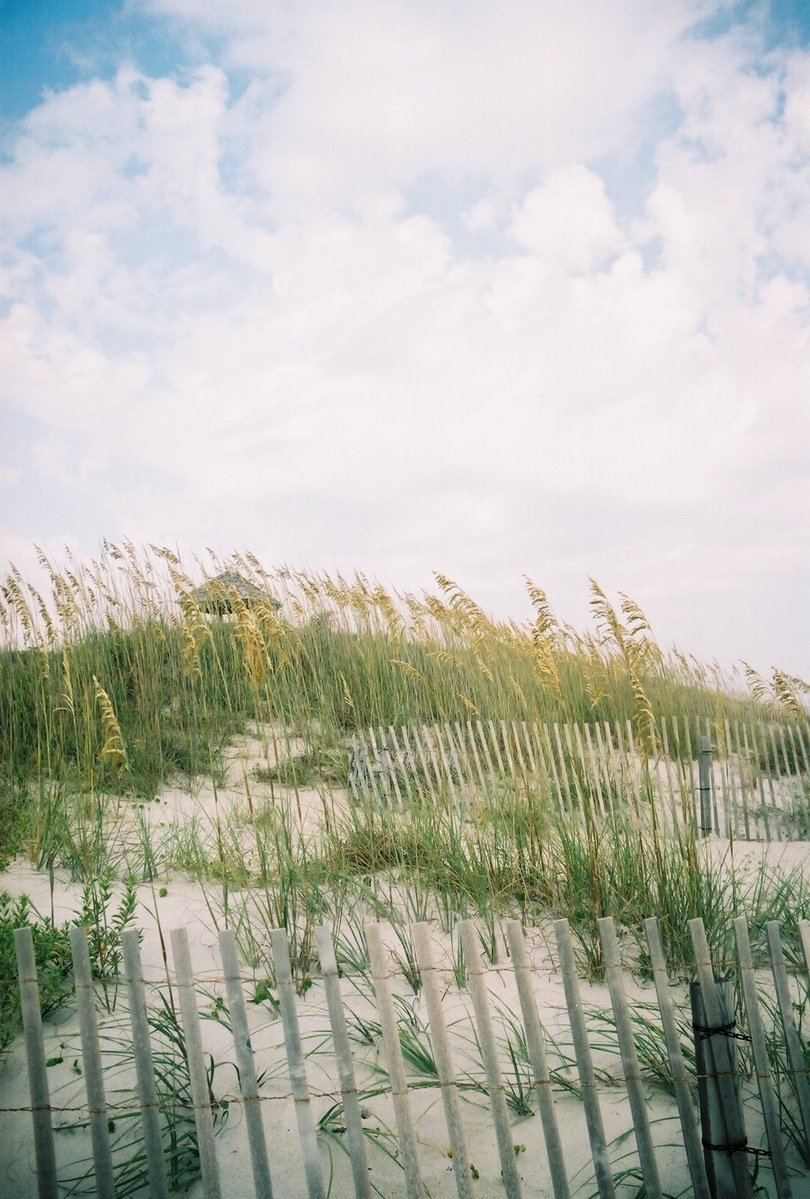 a sandy beach with sand dunes and sea oats