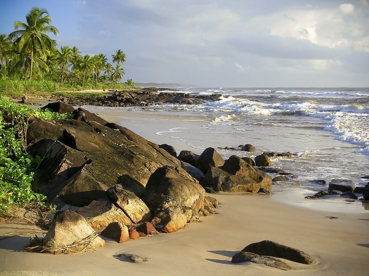 a rock lined beach with trees and waves coming in from the ocean