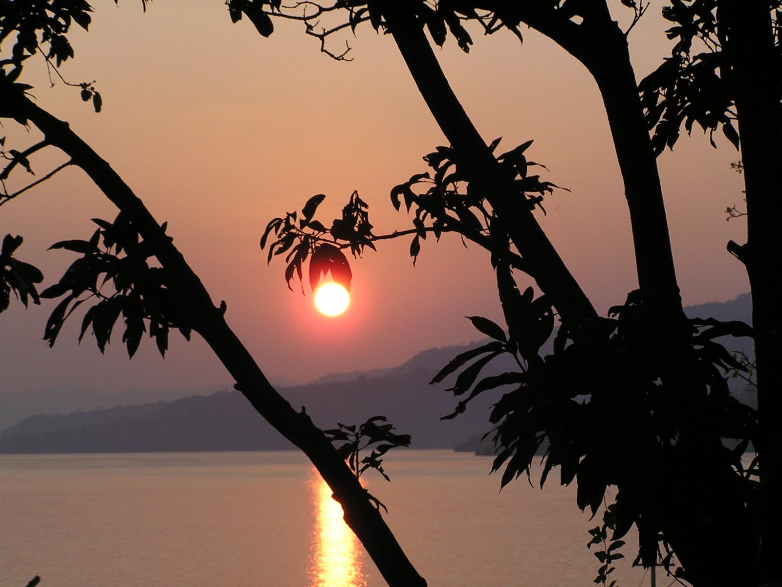 the sun sets over water and trees with leaves