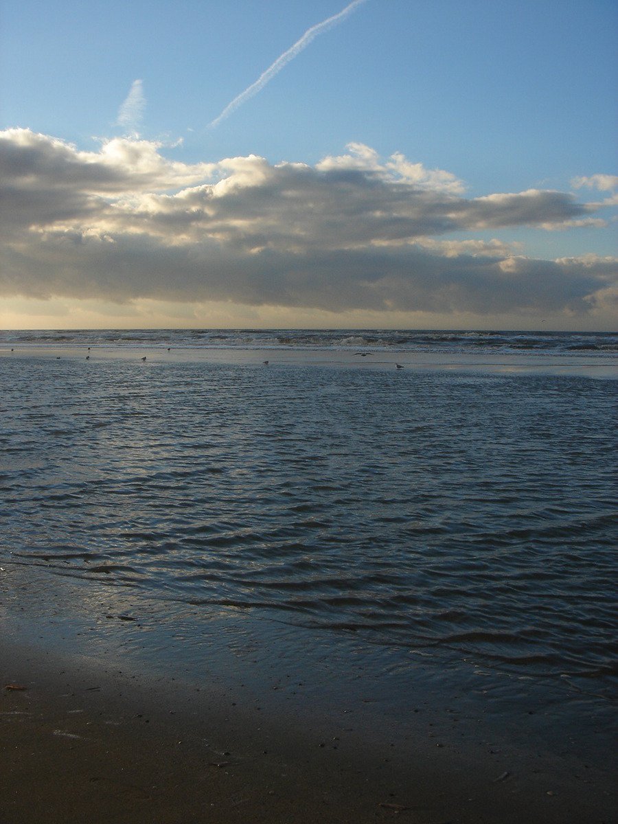 a picture of the water from across the beach