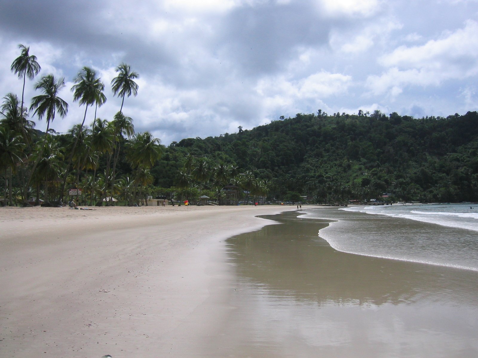 there is a white sand beach and palm trees