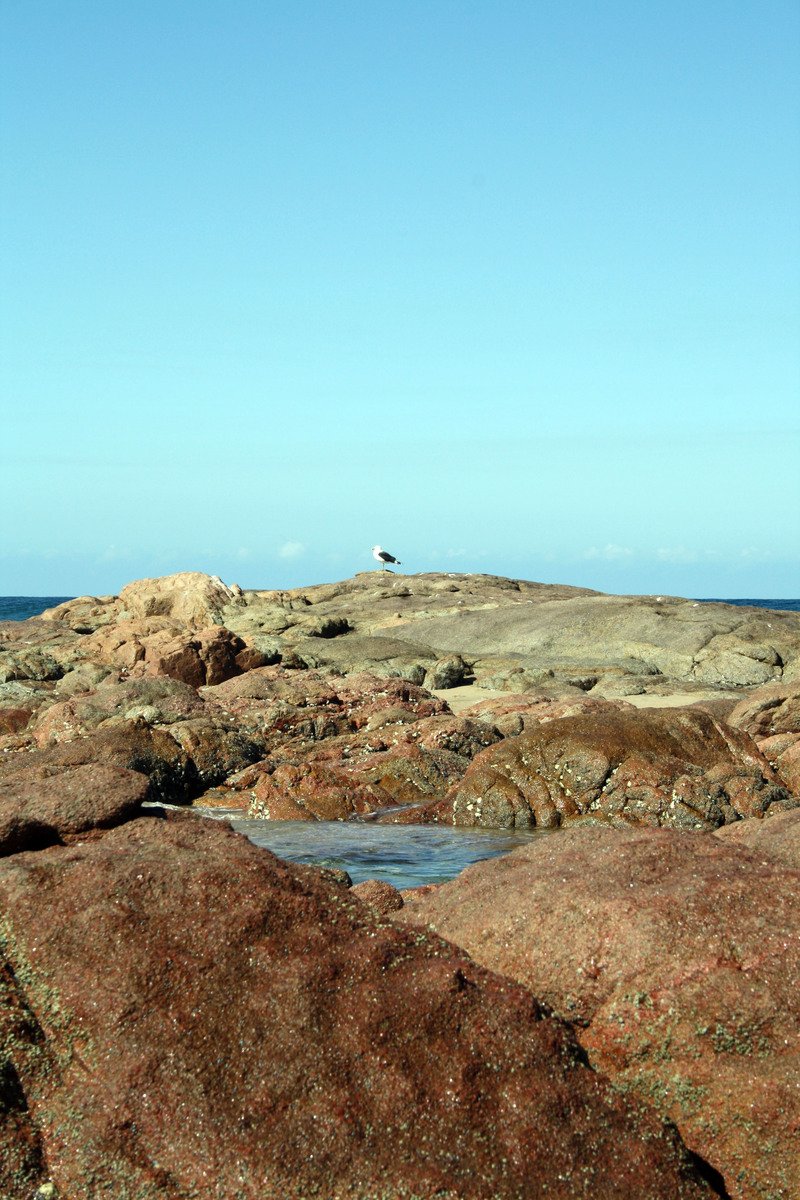 the lighthouse in the middle of the rocky area is shown