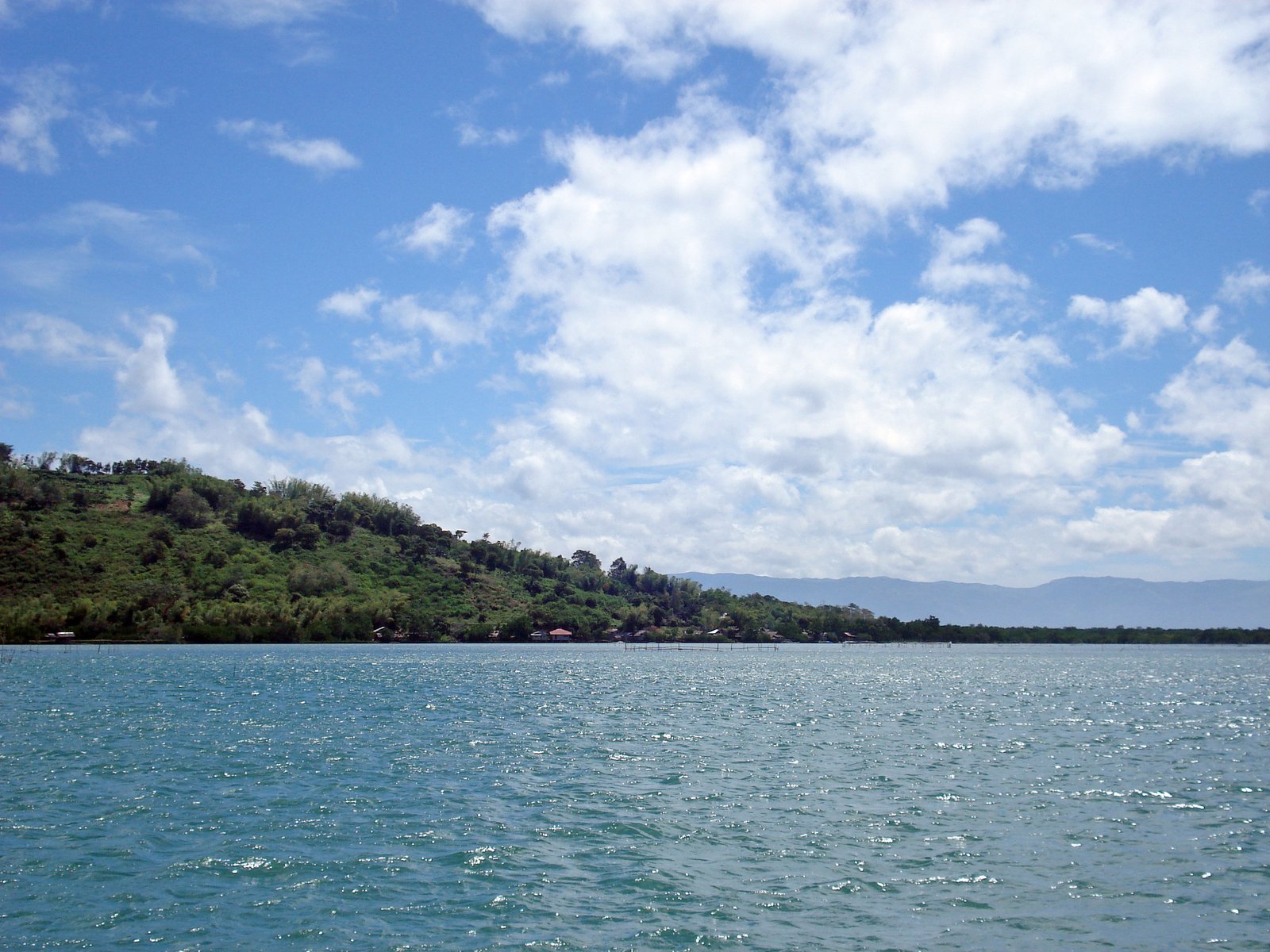 water near the shore and a hillside that has trees on it