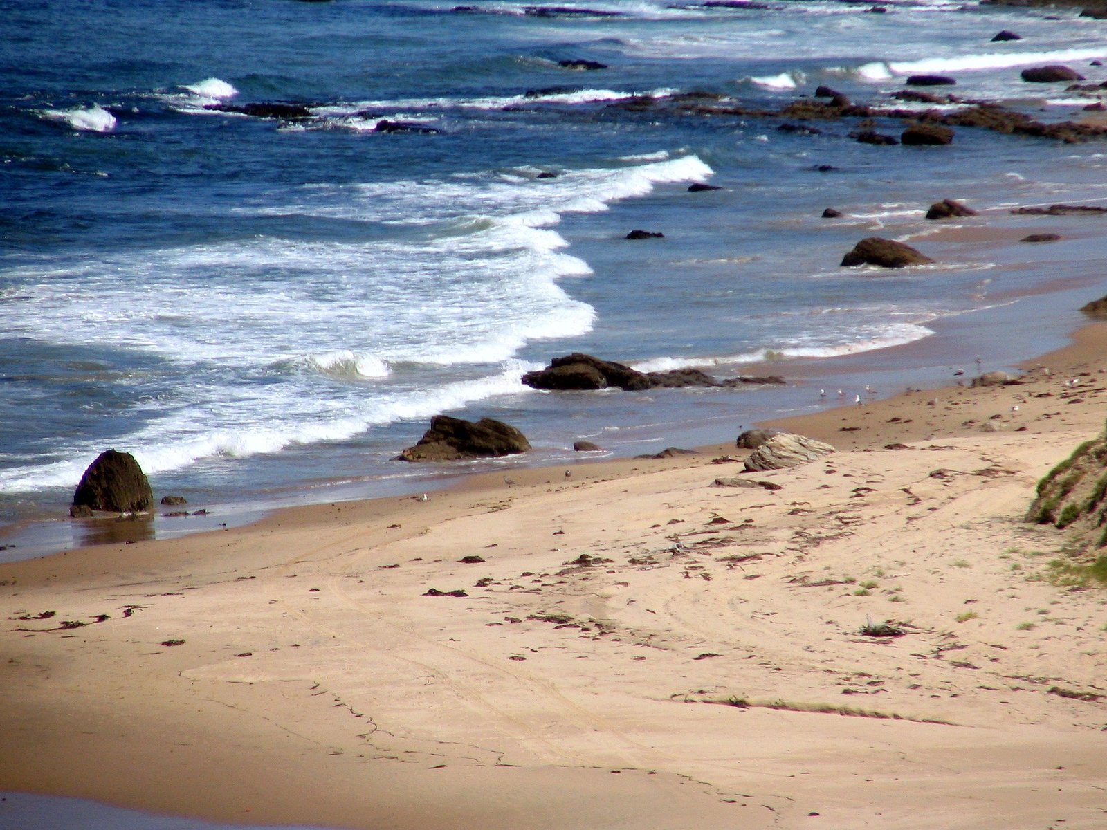 a sandy shore next to the ocean