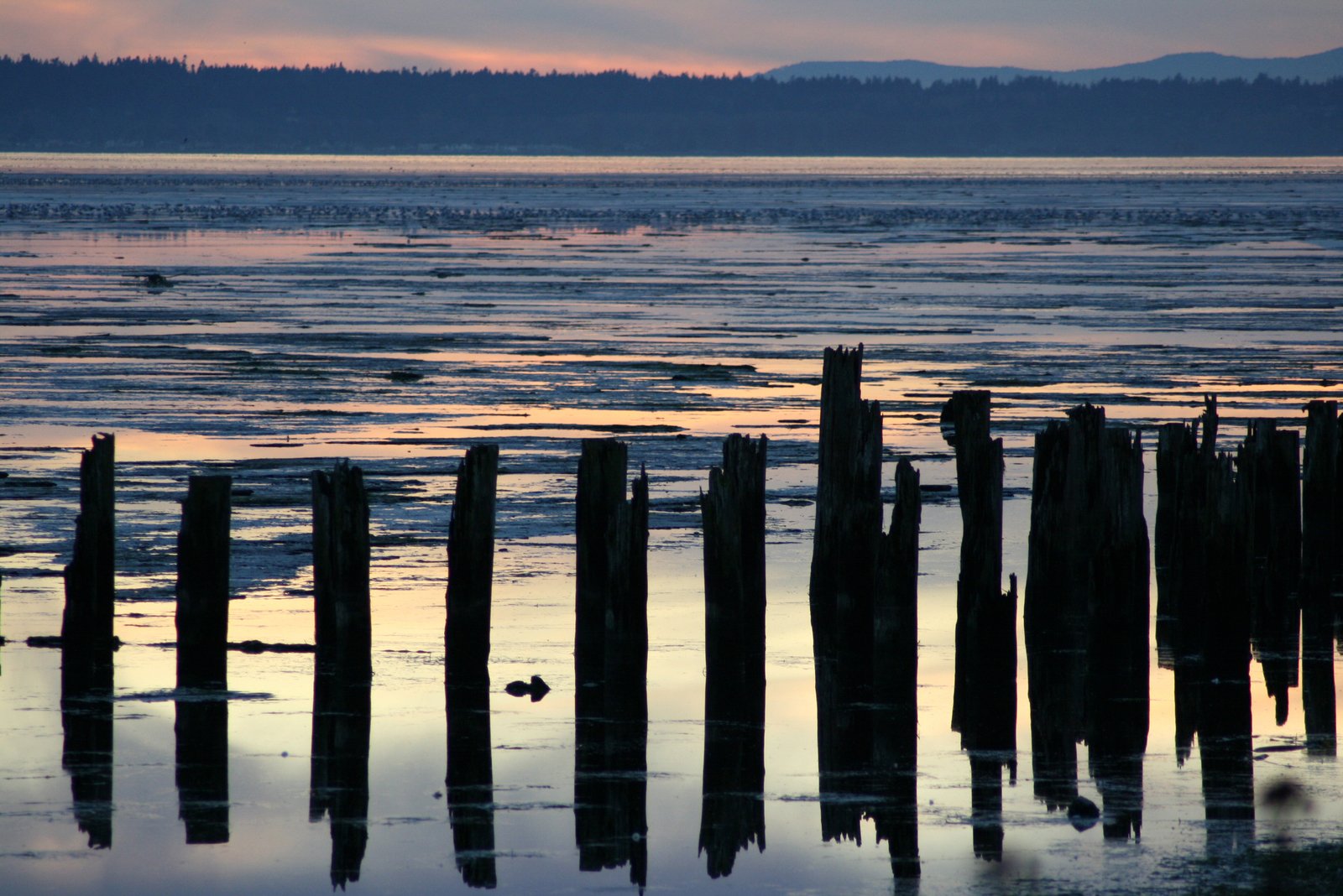 water sitting at the edge of some ocean with poles sticking out