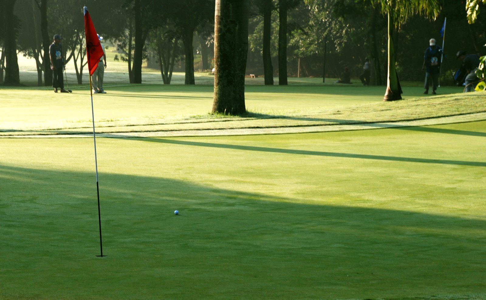 a golf green with golf balls and a flag